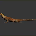 Lizard Anime Lizard Chameleon Cartoon Lizard Reptile Cold Blooded Animal Reptile Class 3d model