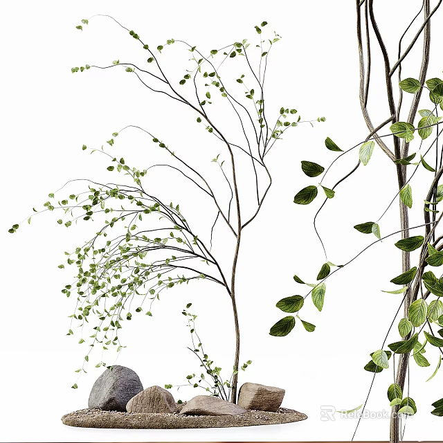 Lush Natural Arbor with Elegant Branches and Vibrant Green Leaves in Outdoor Scene 3d model 