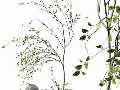 Lush Natural Arbor with Elegant Branches and Vibrant Green Leaves in Outdoor Scene 3d model