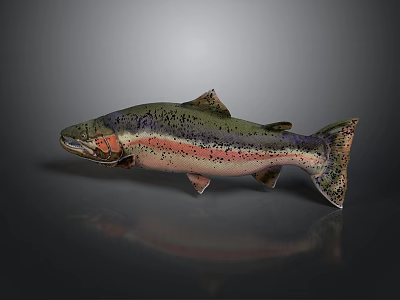 Colorful Rainbow Trout With Green Pink Black Spots Streamlined Body On Gray Background With Reflection 3d model