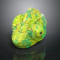 Vibrant Green And Yellow Chameleon With Detailed Skin Texture On Black Background
