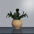 Bonsai Potted Plant With Lush Green Leaves In Beige Rounded Pot On Gray Surface