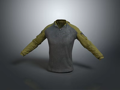 Gray And Yellow Two Tone Hoodie With Long Sleeves And Stand Collar Design 3d model