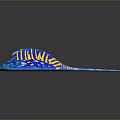 Colorful Blue Stingray With Yellow Stripes White Spots And Long Striped Tail