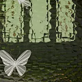 Traditional Photo Spot With Tile Roof Butterfly Decorations Green Plants And White Flowers