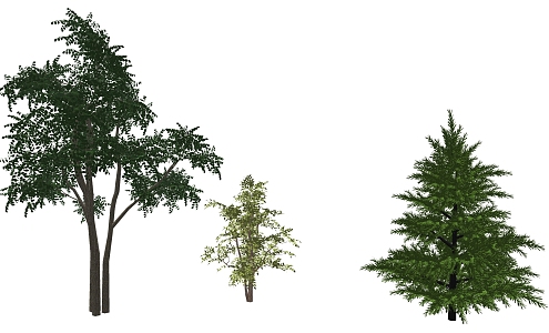 Tree 3d model