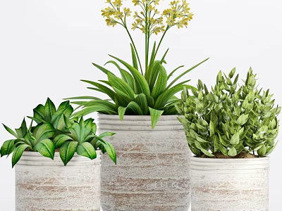 Decorative Potted Plants In White Ceramic Pots With Green Leaves And Yellow Flowers 3d model