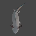 3D White Axolotl Game Character With Brown Gills And Aquatic Features