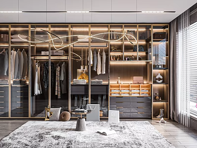 Modern Walk in Closet Interior With Organized Storage And Lighting 3d model