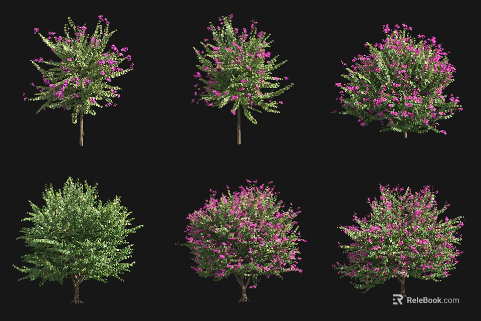Various Arbor Trees With Purple Flowers And Green Foliage In Different Forms 3d model 