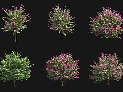 Various Arbor Trees With Purple Flowers And Green Foliage In Different Forms 3d model