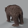 Realistic Brown Bear 3D Render With Detailed Fur And Standing Pose On Gray Background