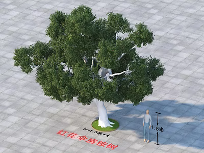 Urban Roadside Facilities Featuring Bauhinia Blakeana Tree With Circular Lawn And Square Paving 3d model