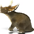 Triceratops Reptile Standing With Three Horns Frill Brown Textured Skin White Horn Tips Claws