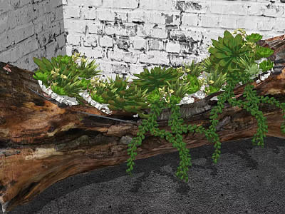 Bonsai Potted Succulents In Wooden Log Planter With White Brick Wall 3d model
