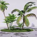 Tropical Arbor With Palm Trees Green Foliage And Grass On White Background