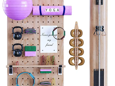 Home Gym Wall Mounted Storage With Yoga Ball Mat Kettlebells Resistance Bands 3d model