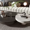 Modern Living Room Interior With Round Coffee Tables Black Light Colored And Metal Decor Books
