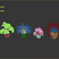 Four Different Plants in Various Colored and Shaped Pots on Grey Background with Reflection