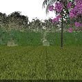 Municipal Road With Green Lawn And Trees Featuring Purple Flowering Plants