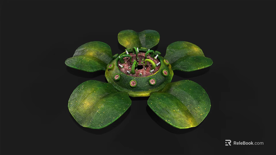 Green Water Lily Plant With Large Leaves And Central Flower Structure 3d model 