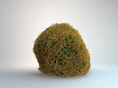 Green and Yellow Round Shrub with Dense Lush Foliage for Garden Landscape Design 3d model