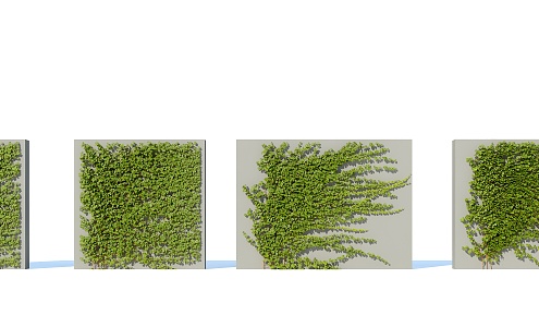 Modern Vine Climbing Vine Plant Creeper 3d model