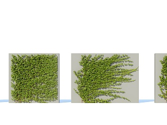 Modern Vine Climbing Vine Plant Creeper 3d model