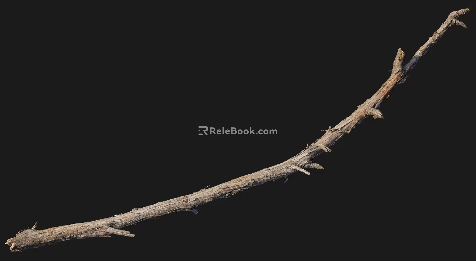Branches Forest Trees Realistic Branches Games Forest Branches Big Mountain Fallen Trees Riverside Fallen Branches Trees Realistic Tree Stump 3d model