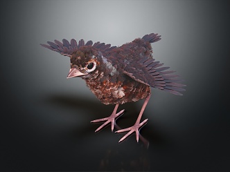 Modern bird robin bird traveling thrush Eurasian robin 3d model