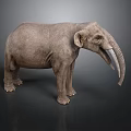 Gray Elephant Standing Against Dark Background With Long Tusks 3D Rendering