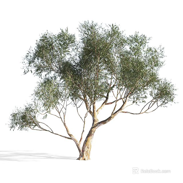 Arbor Tree With Lush Green Foliage And Branching Structure In Natural Setting 3d model 