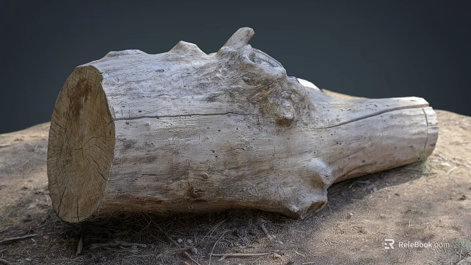 Natural Wood Log With Rustic Texture Knots On Ground And Dry Hay 3d model 