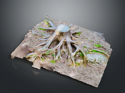 Natural Tree Stump With Exposed Roots And Rustic Stone In Soil With Grass 3d model