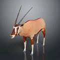Brown and White Antelope with Long Horns Standing in Studio Setting 3d model