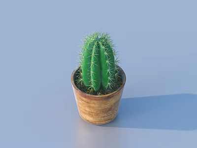 Green Cactus Potted Plant in Wooden Pot for Indoor Home Decoration 3d model