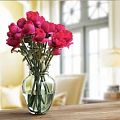 Transparent Glass Vase With Red Pink White Flowers On Wooden Table In Bright Living Room