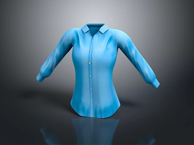 Women's Blue Button Down Shirt With Long Sleeves And Sleek Design 3d model