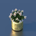 Bonsai Potted Plant With White Pink Flowers Green Leaves And Golden Textured Pot