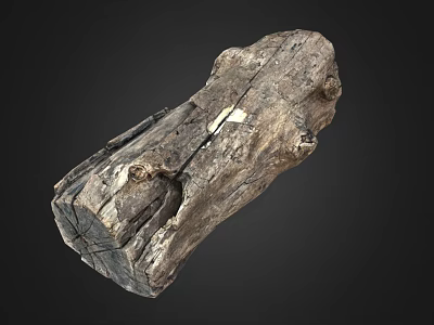 Wood Stone Material With Natural Texture Rough Surface And Organic Shape 3d model