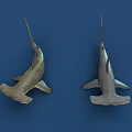 Realistic Shark Aquatic Animal Displayed in Multiple Angles on Blue Background 3d model