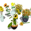 Fresh Colorful Sunflowers and Yellow Flowers in Different Decorative Vases