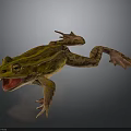 Yellow Striped Frog With Open Mouth And Webbed Feet On Dark Background