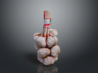 Fresh Garlic Bulbs Tied With Red String And Wooden Stem For Cooking 3d model