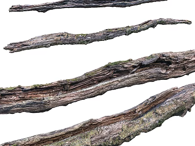 Natural Stone Wood Logs with Mossy Surfaces and Rustic Organic Texture 3d model