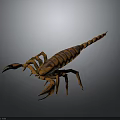 Realistic Brown Striped Scorpion 3D Model With Detailed Exoskeleton And Claws