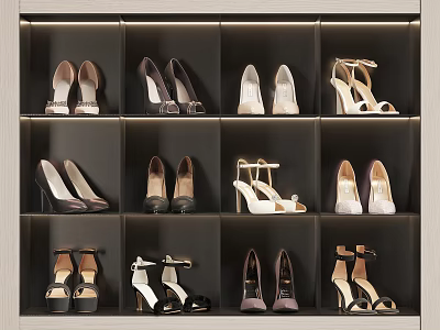Women's High Heel Shoes in Various Styles Arranged on Multi Compartment Shoe Rack 3d model