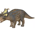 Realistic Ceratopsian Dinosaur With Frilled Head And Brown Striped Body