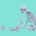 Modern Skeleton 3d model