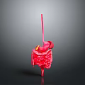 3D Rendered Human Digestive System Model With Pink Organs And Gray Background
